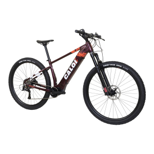 BCALOI E-EXPLORER TGR29V8 VRM A25 1